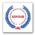 SDVOSB